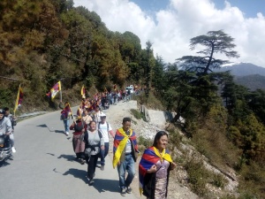 Dharamsala 2019g